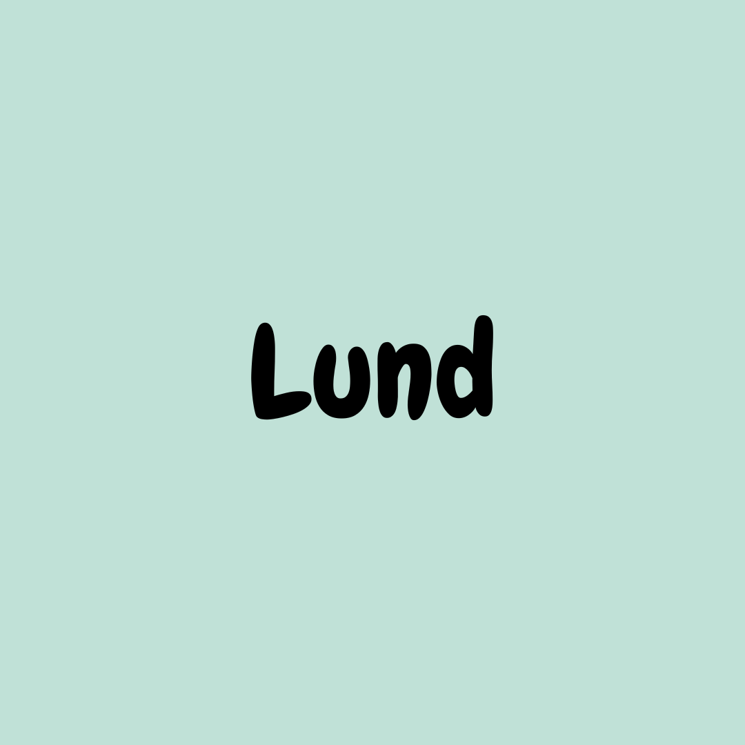 miniStuds Lund Boka Aktivtet